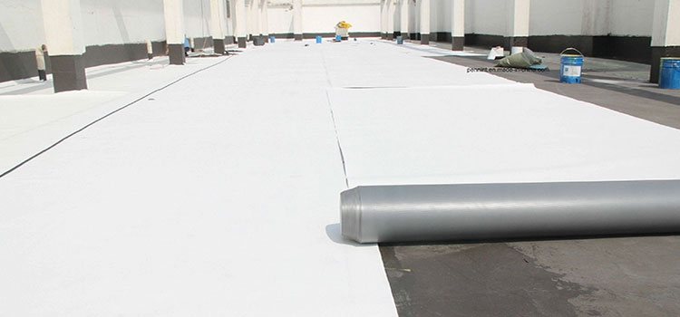 Thermoplastic Polyolefin Roofing El Monte